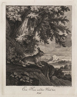 KG 01077
          <br/>
          Entwurf einiger Thiere. Fünfter Theil. (18 bladen)
          <br/>
          <em>Ridinger, Johann Elias (1698-1767)</em>